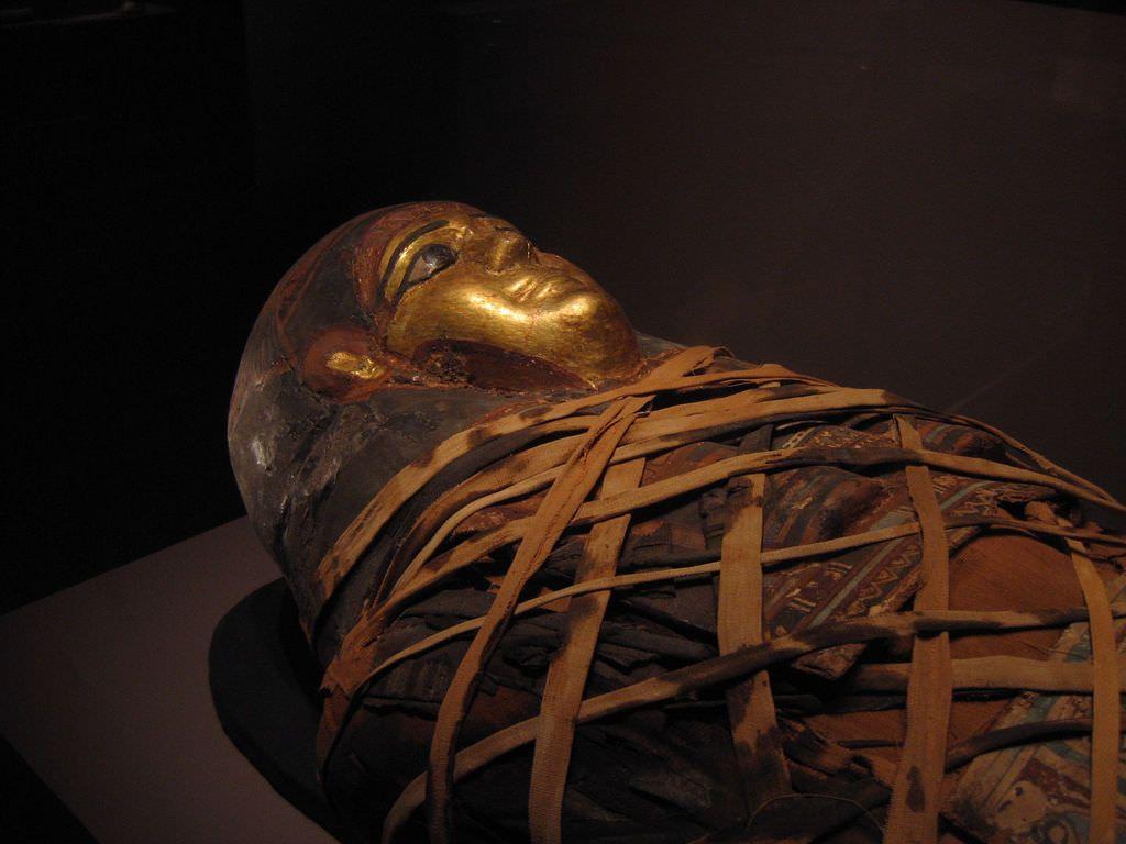 Egyptian Mummy. This is a real mummy. The kids were a littl