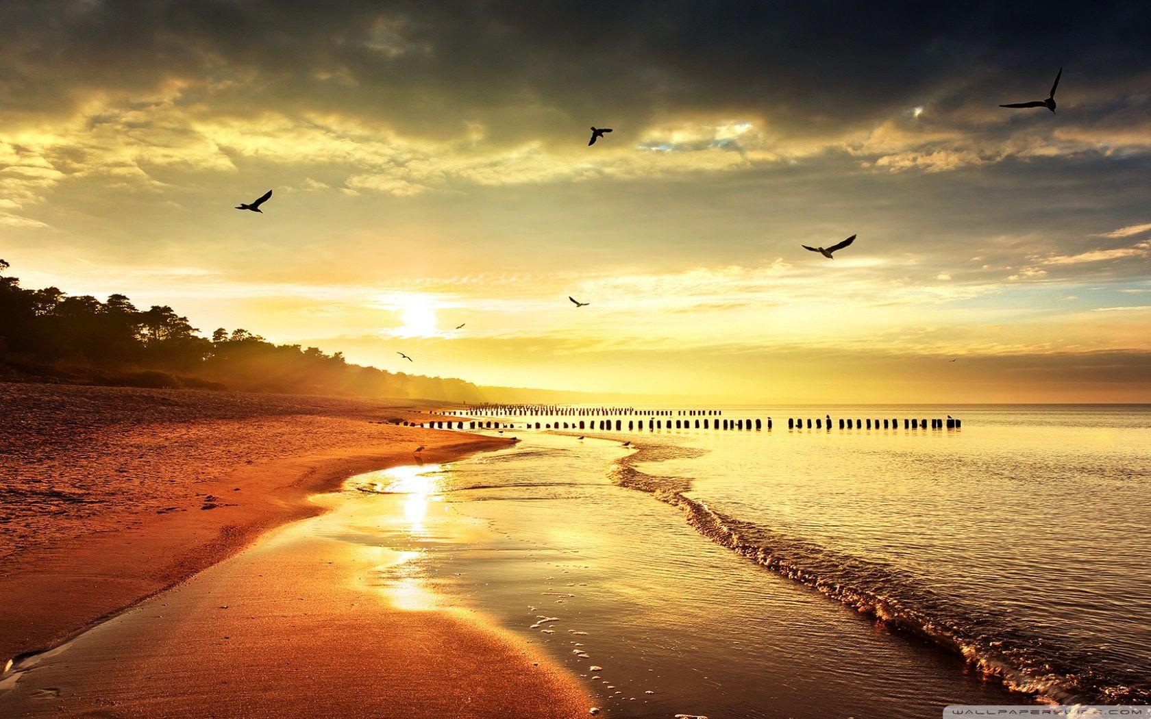 COOL NATURE ❤ 4K HD Desktop Wallpaper for 4K Ultra HD TV • Wide