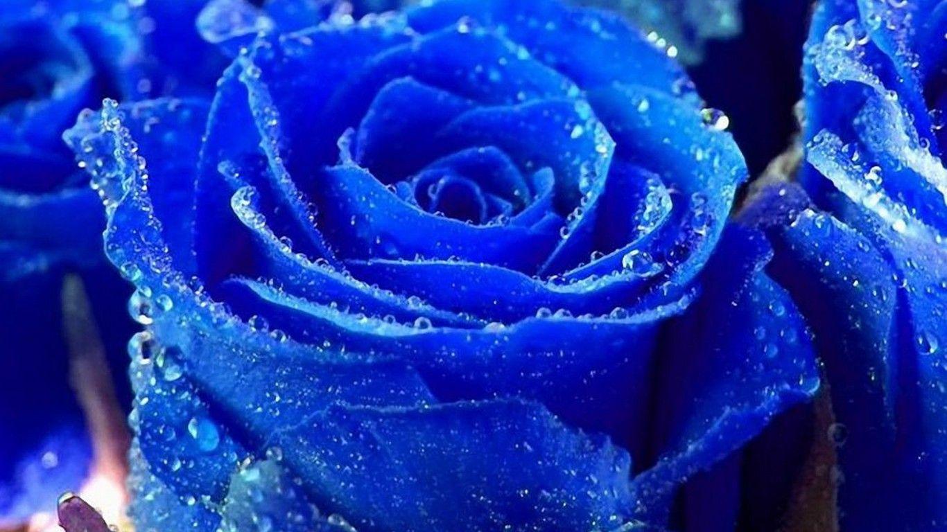 Cool Nature Wallpaper, 46 Cool Nature Android Compatible Pics