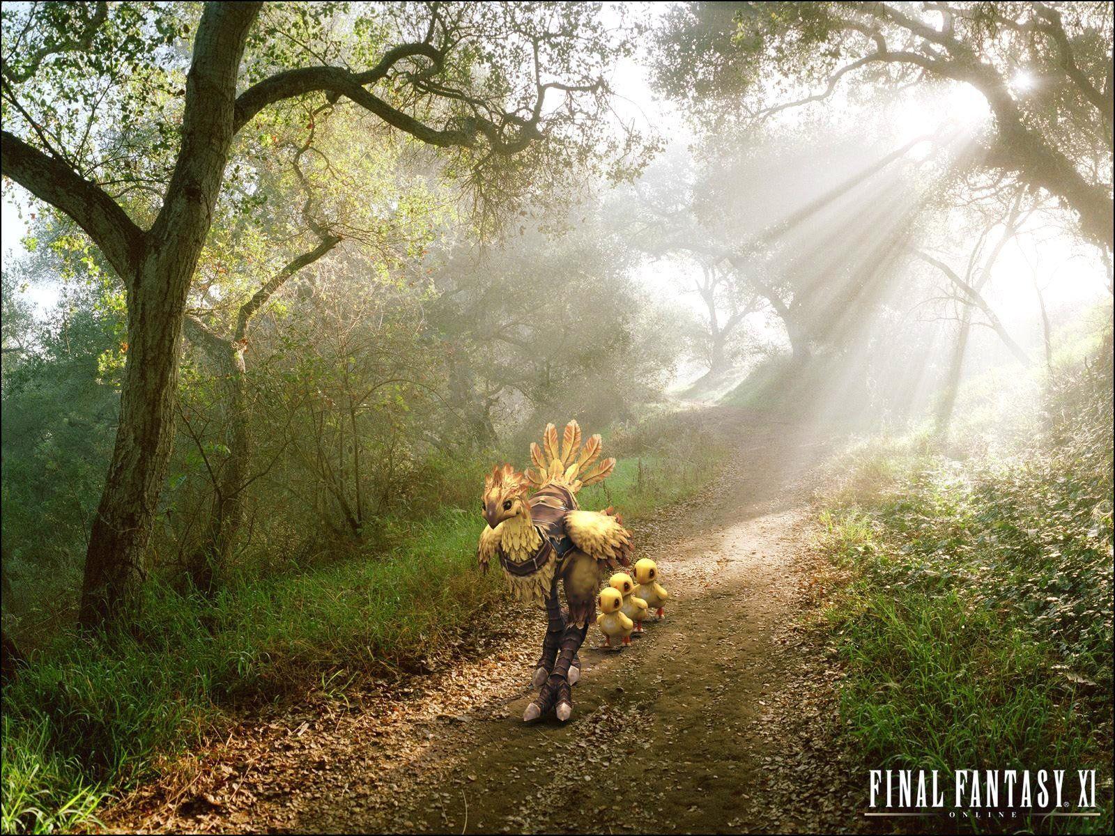 Chocobo (Final Fantasy) HD Wallpaper