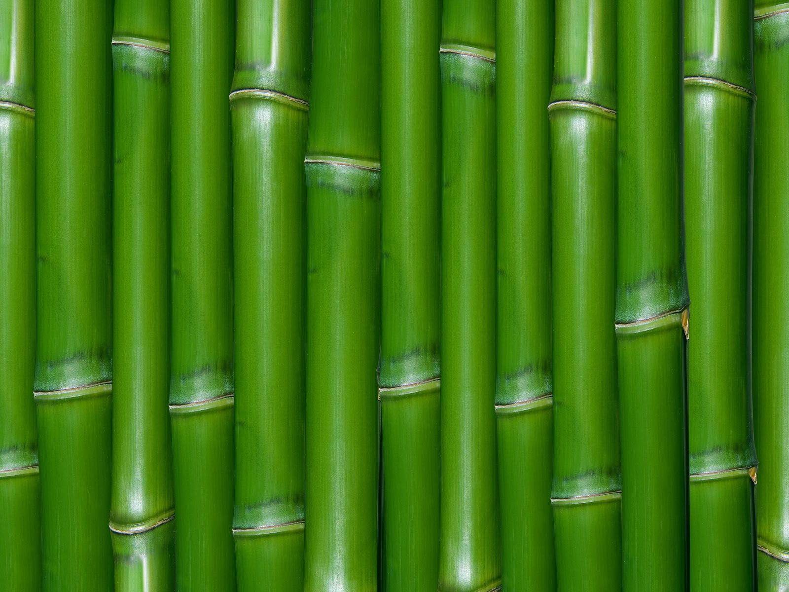 Bamboo Wall Wallpaper Desktop Wallpaper