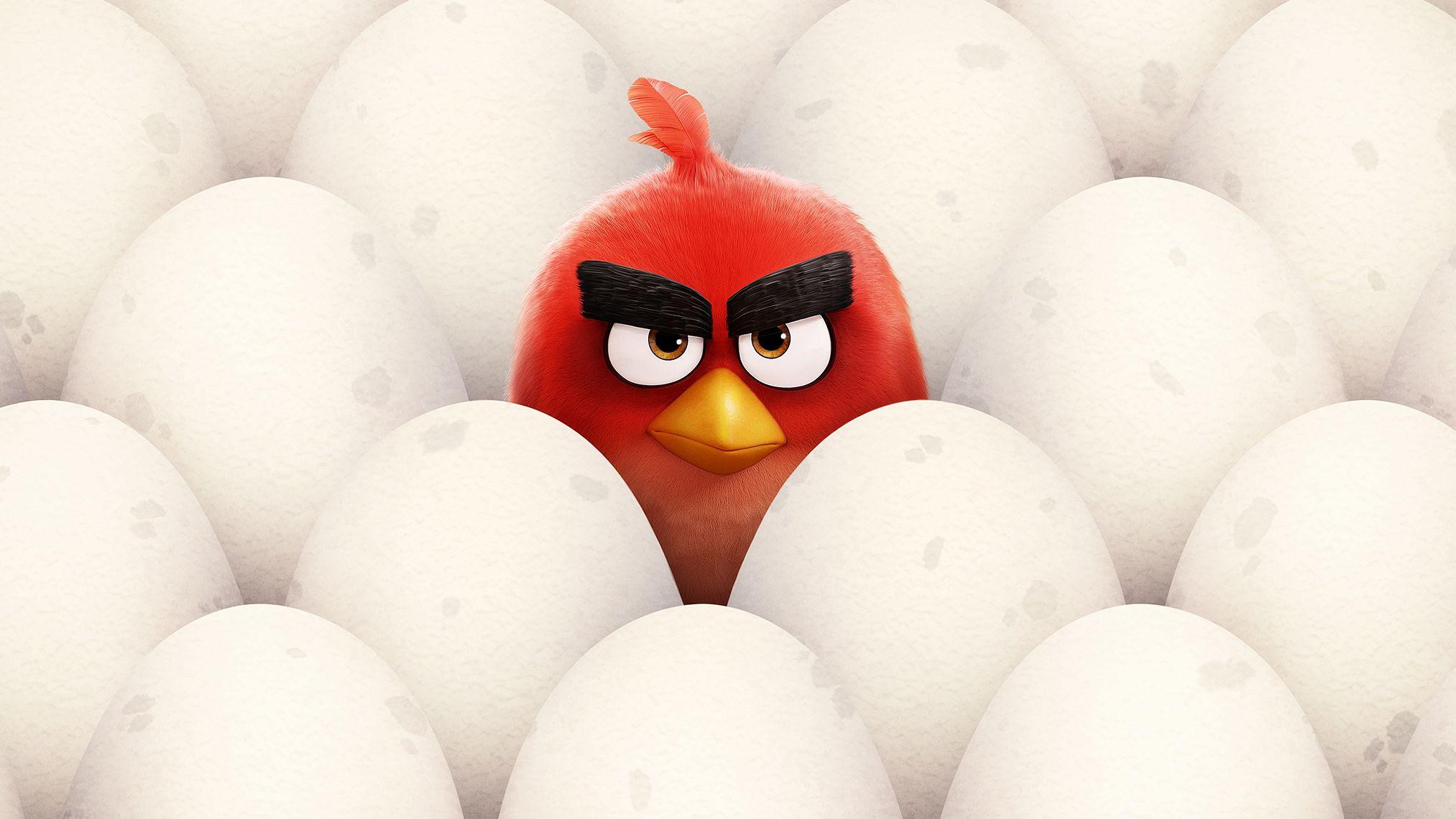 Wallpaper Red, Angry Birds, HD, Movies