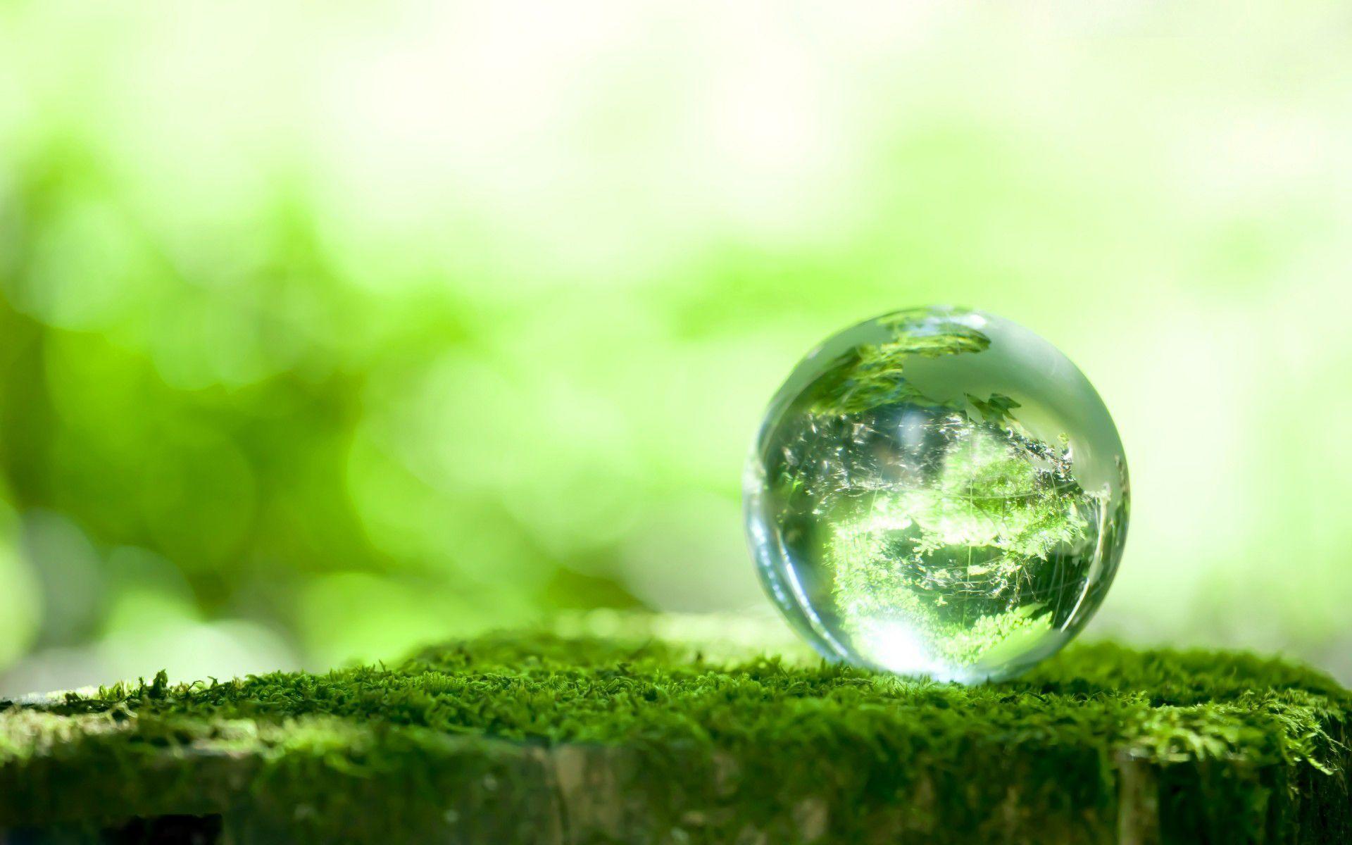 HD Wallpaper Grass Download