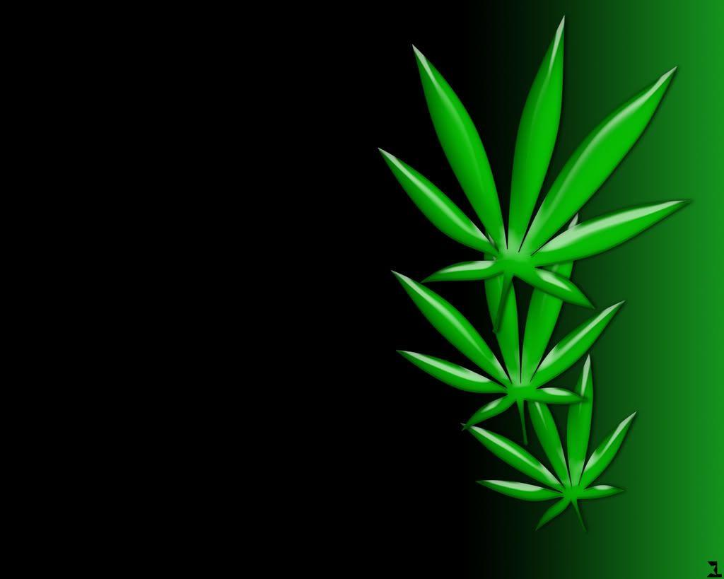 Marijuana Leaf Wallpapers HD - Wallpaper Cave