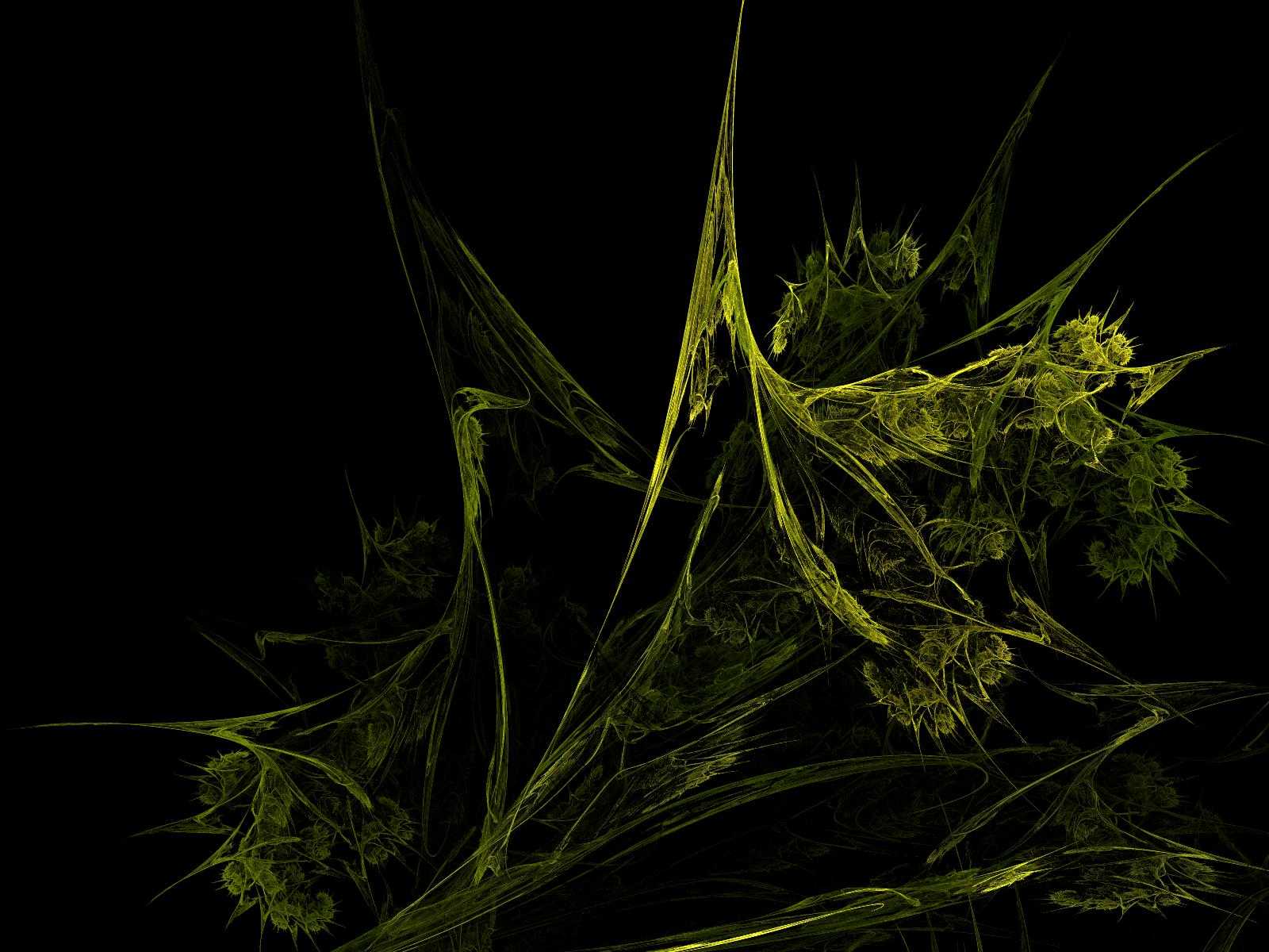 Grass Green Leaves Marijuana Wallpaper Allwallpaperin Widescreen