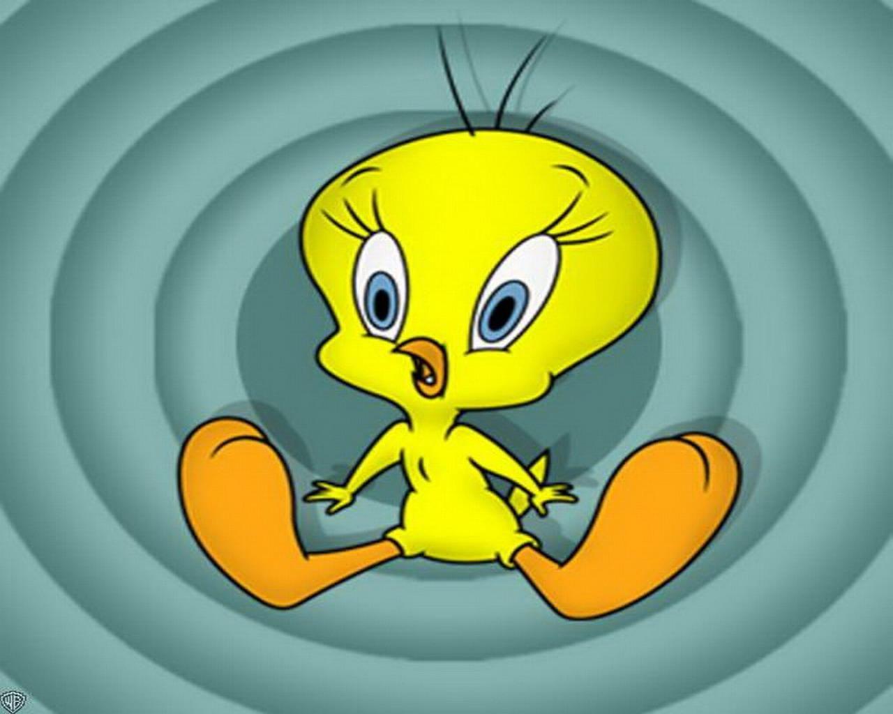 All Products Info: baby tweety