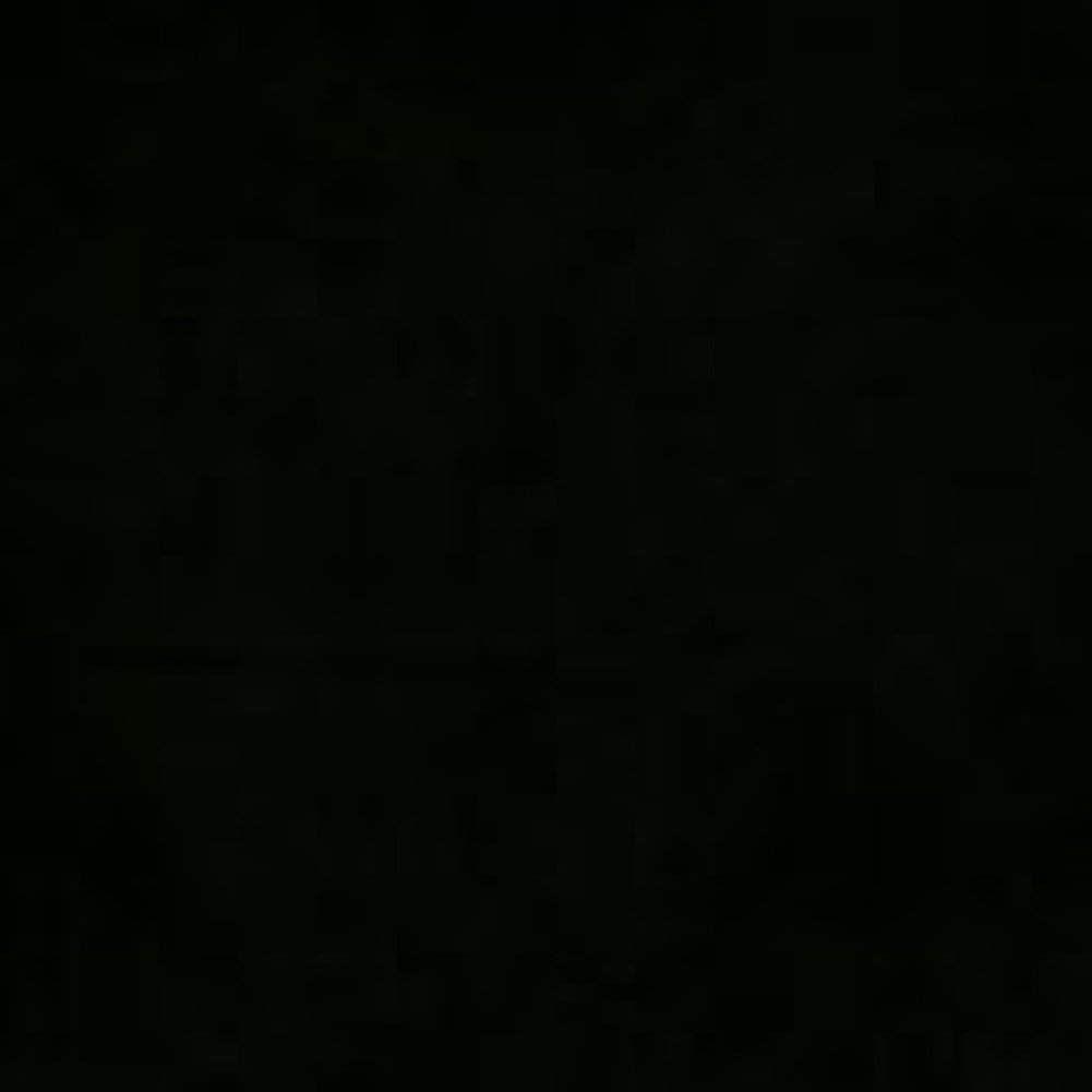 Prism Backdrop by Ravelli 10x12' Black Muslin Photo