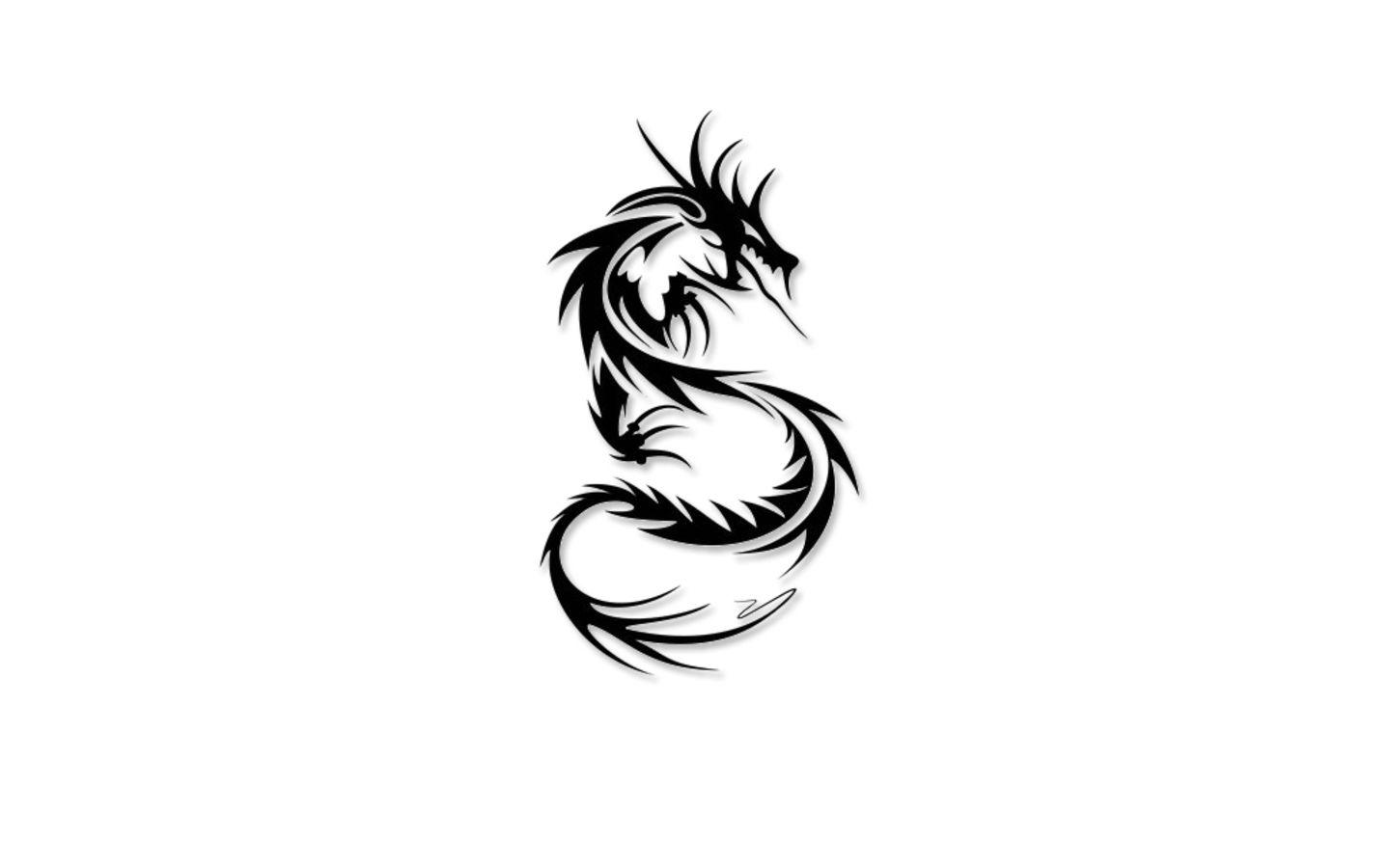 Black White Dragon HD Photo 05974