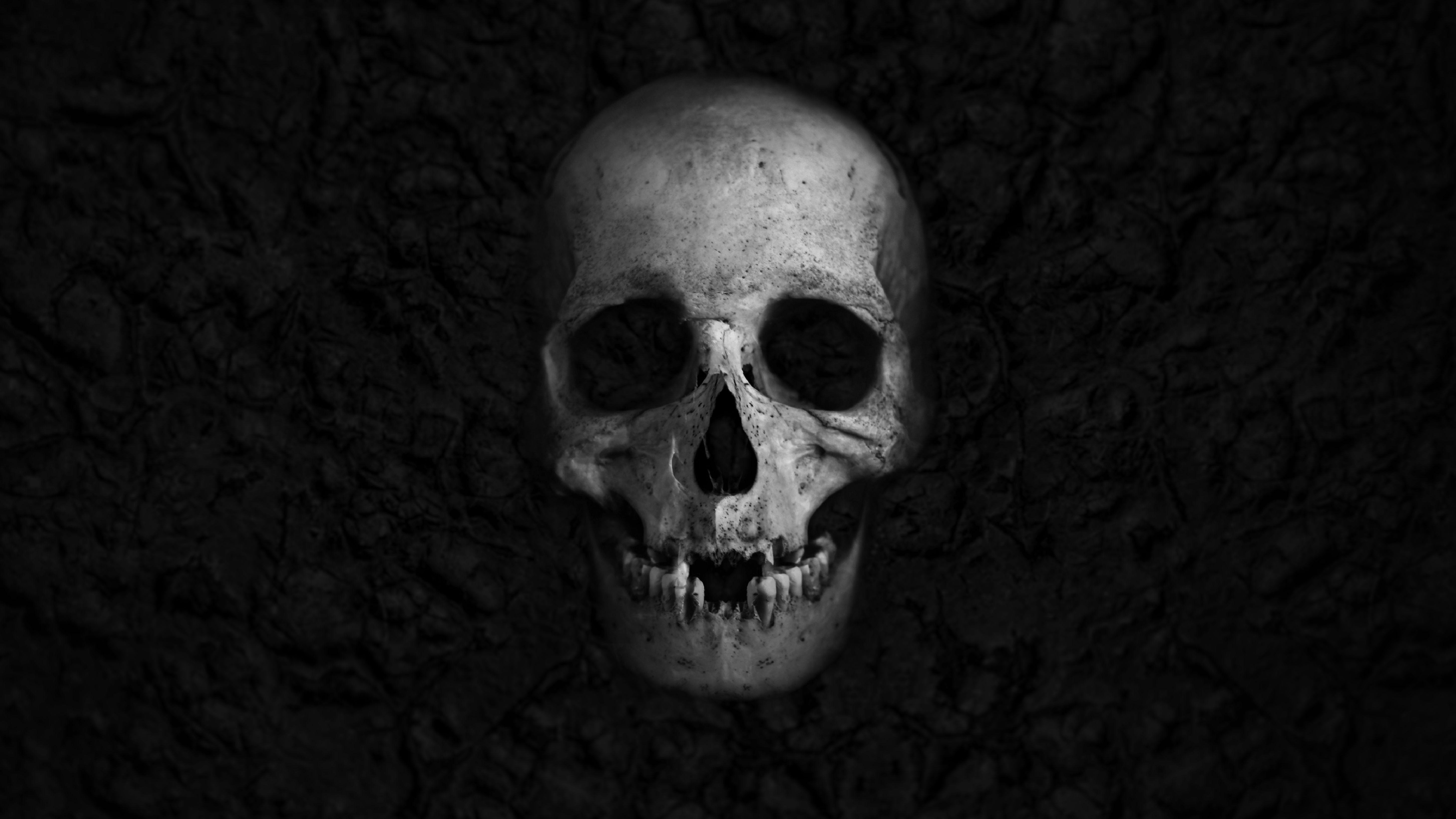Pumpkin Full Dark Background With Skull, 3d Pumpkin And Skull With Bats  Wallpaper, Hd Photography Photo Background Image And Wallpaper for Free  Download