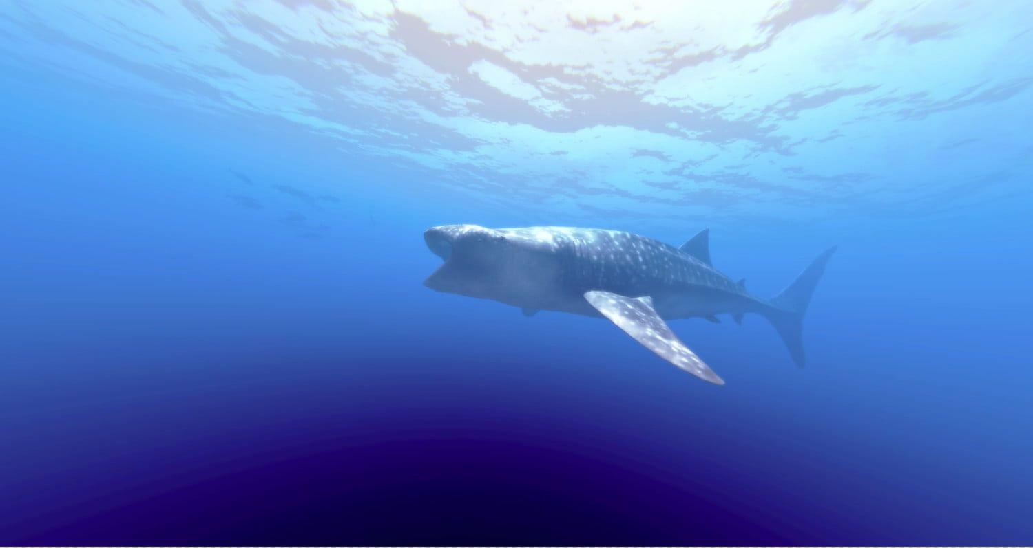 Swimming with Sharks: Operation Apex is influenced