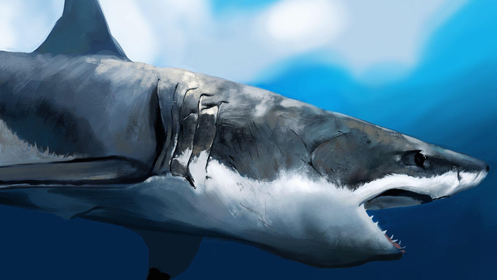 Download wallpaper 1920x1080 maw, shark, art, under the water