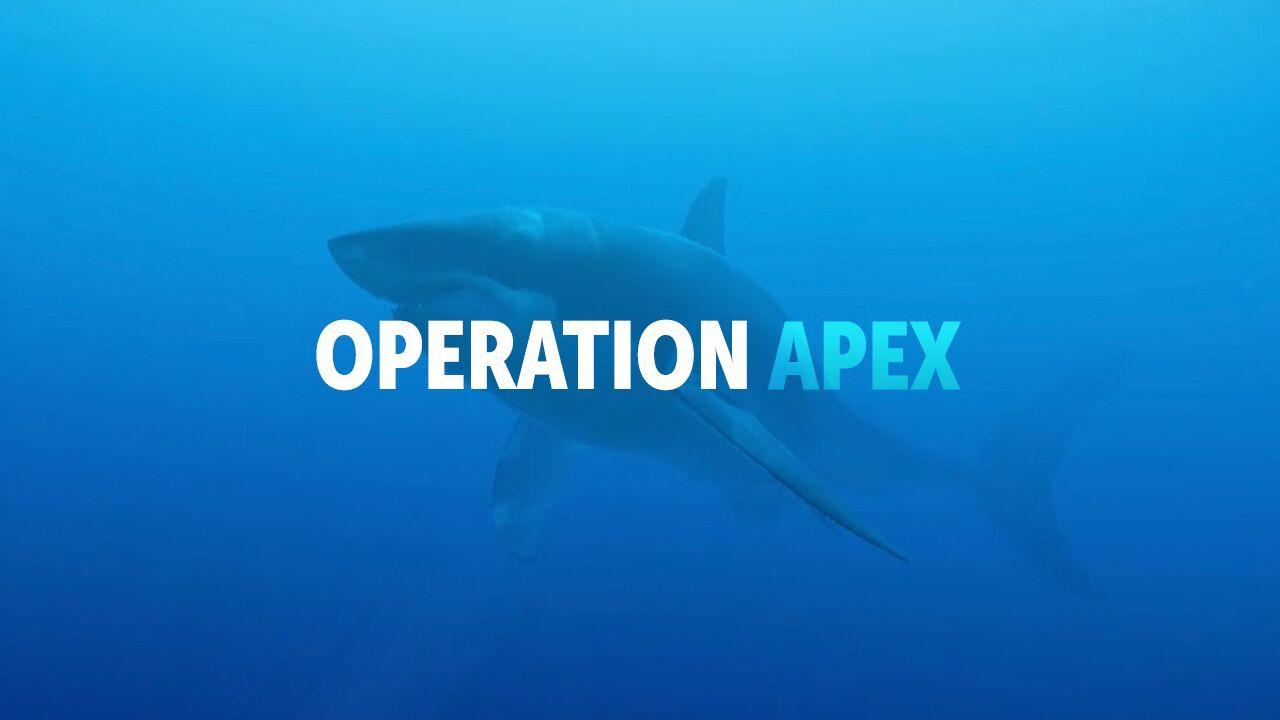 Update: Swim With Sharks In Upcoming Room Scale VR Experience