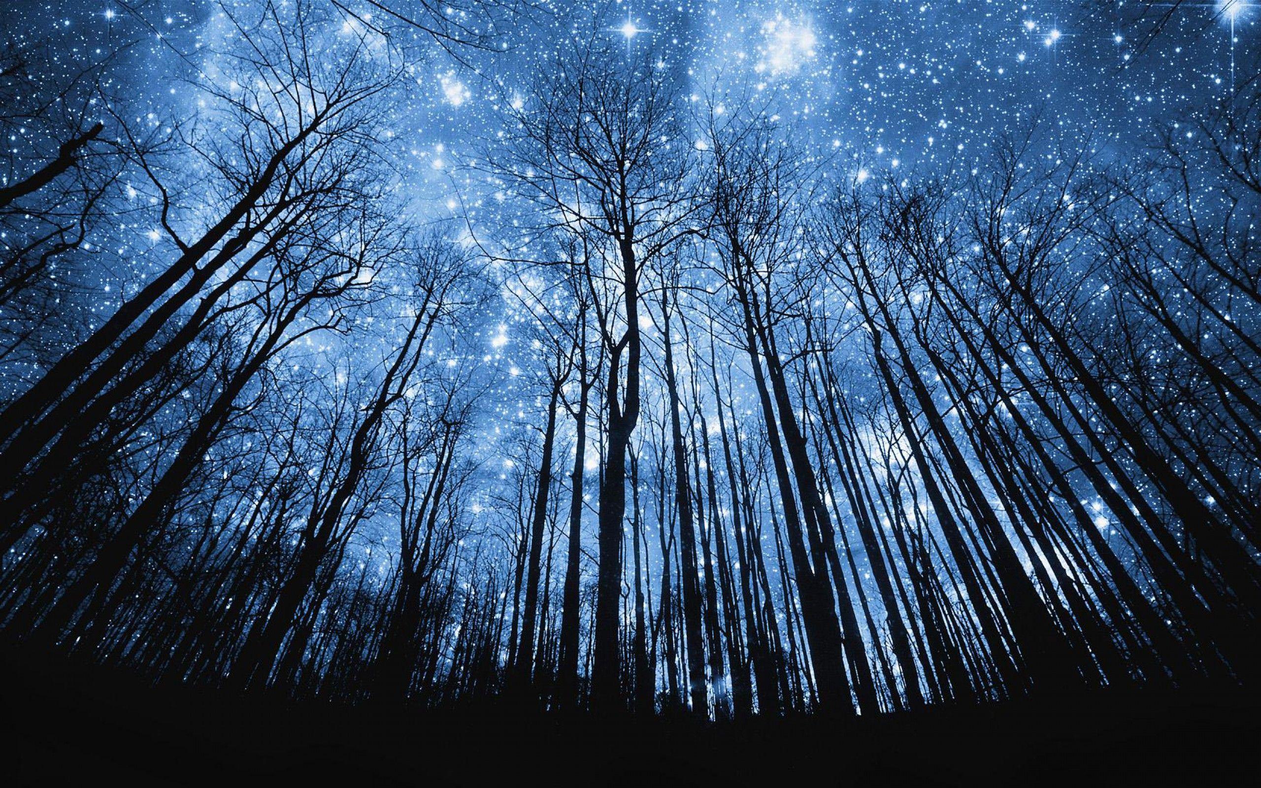 Beautiful Stars At Night Wallpaper