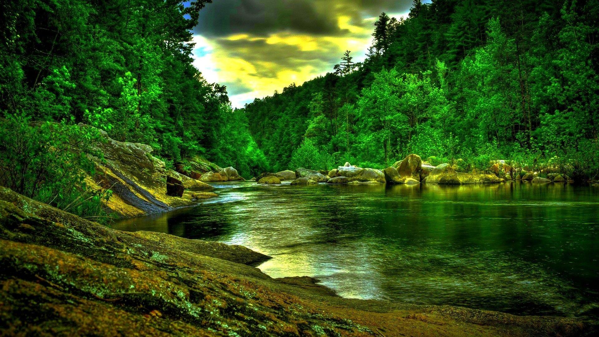River's Edge: Download Beautiful Green Forest River Wide HD