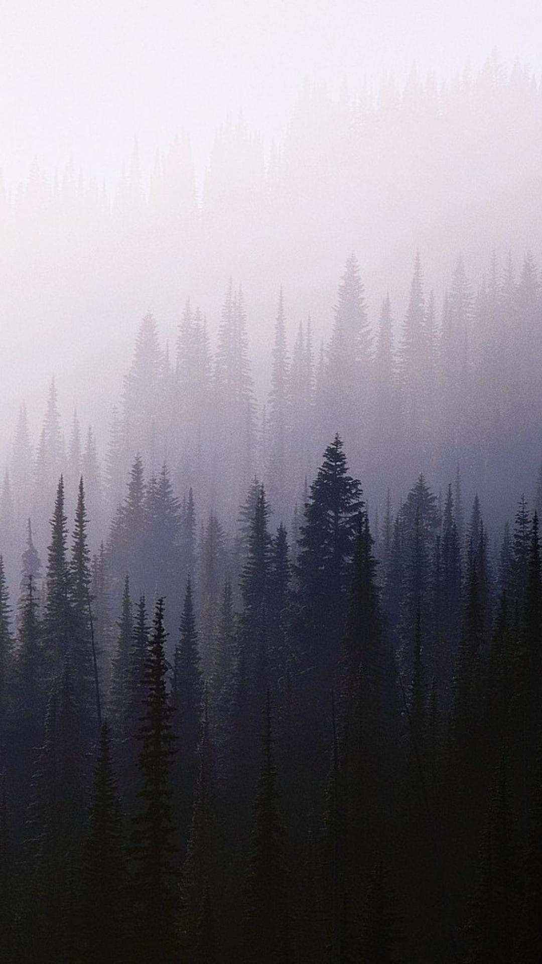 Premium AI Image | A foggy forest with trees and a hill in the background