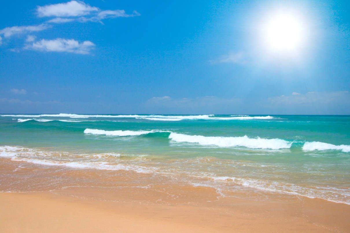 Beautiful Ocean Beach Scene on a Bright Day.. Joy
