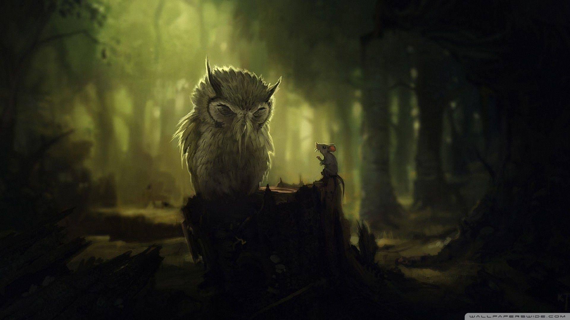 The Wise Owl ❤ 4K HD Desktop Wallpaper for 4K Ultra HD TV • Wide