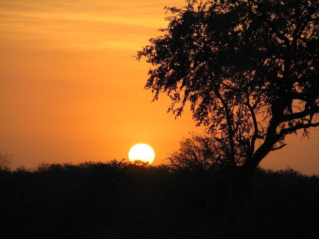 African Sunrise Background