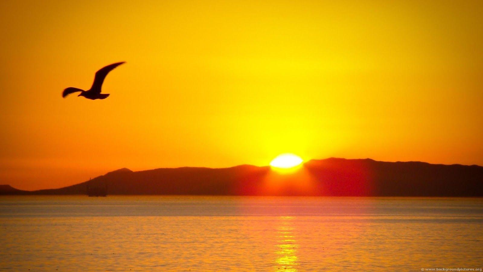 Beautiful Sunrise Wallpaper HD for Wonderful Background HD
