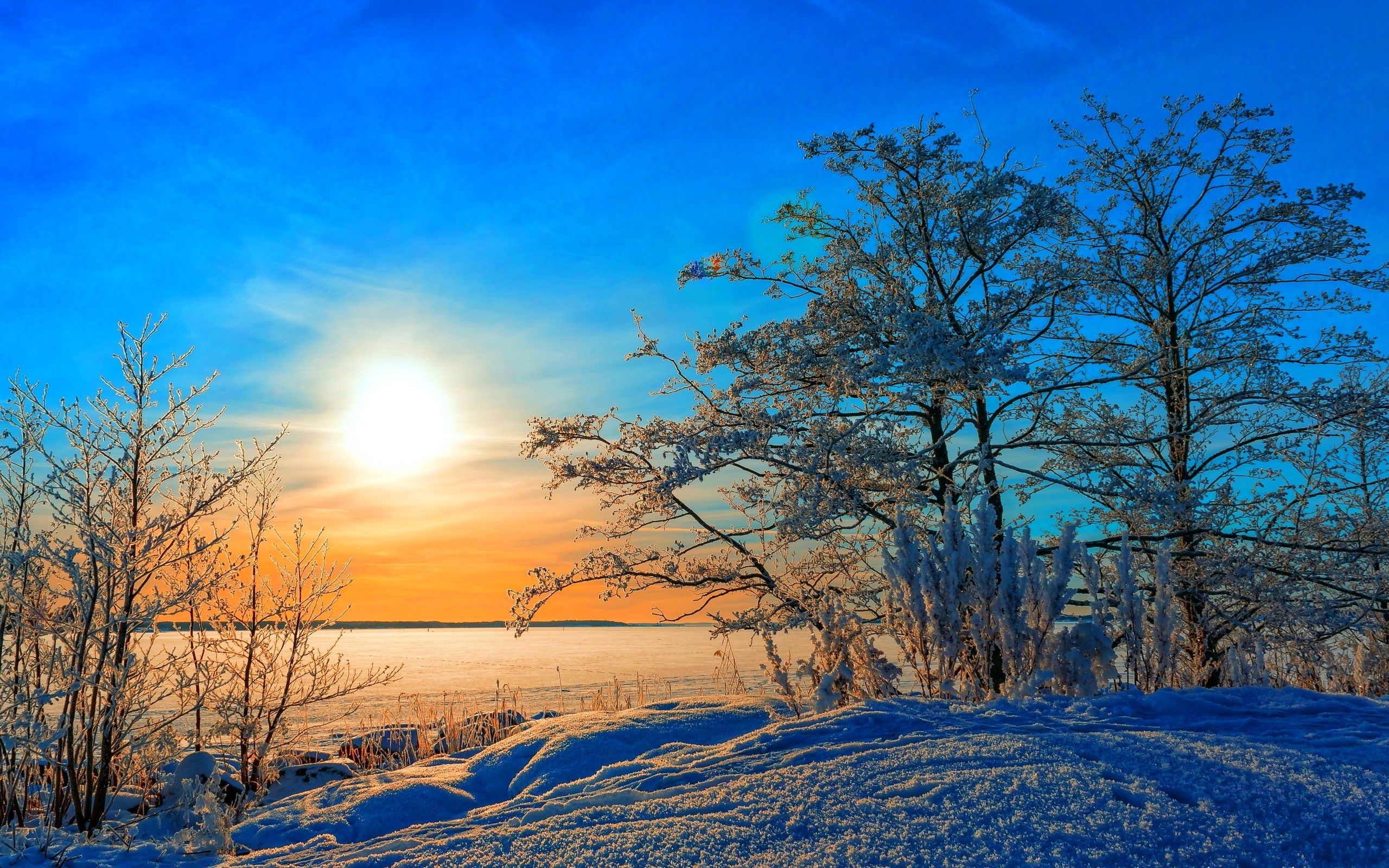 Sunsets: Beautiful Nature Winter View Sky Blue Trees Snow Sunset