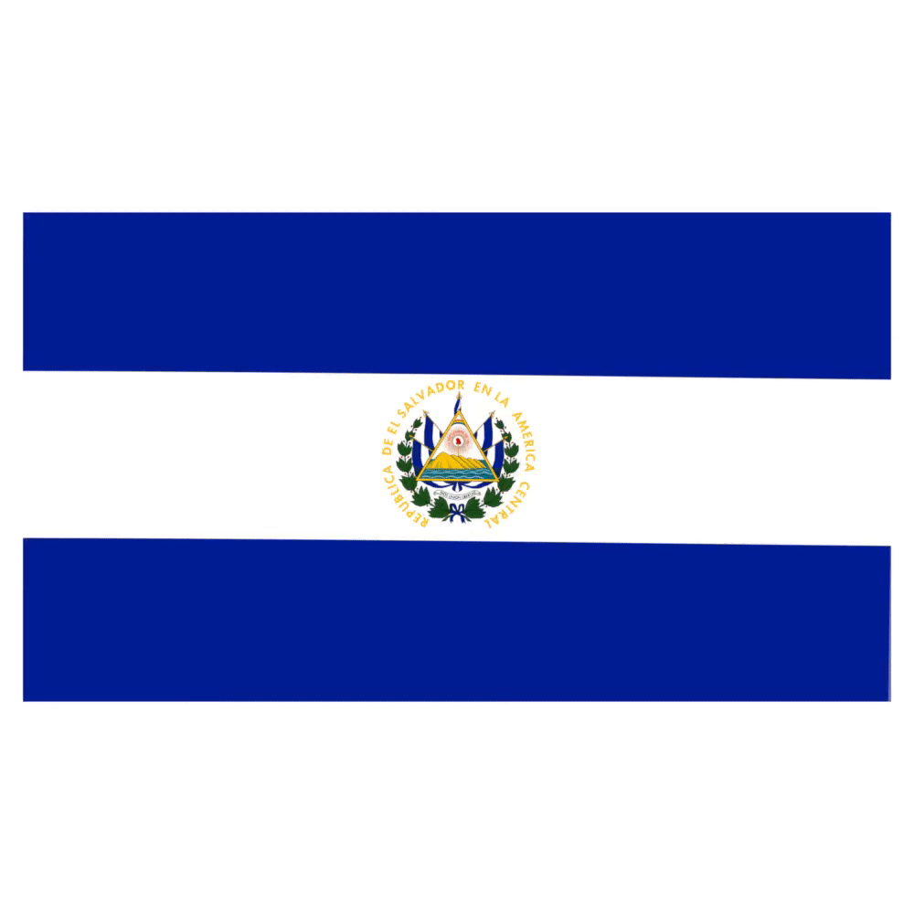 Bandera latina flag GIF on GIFER