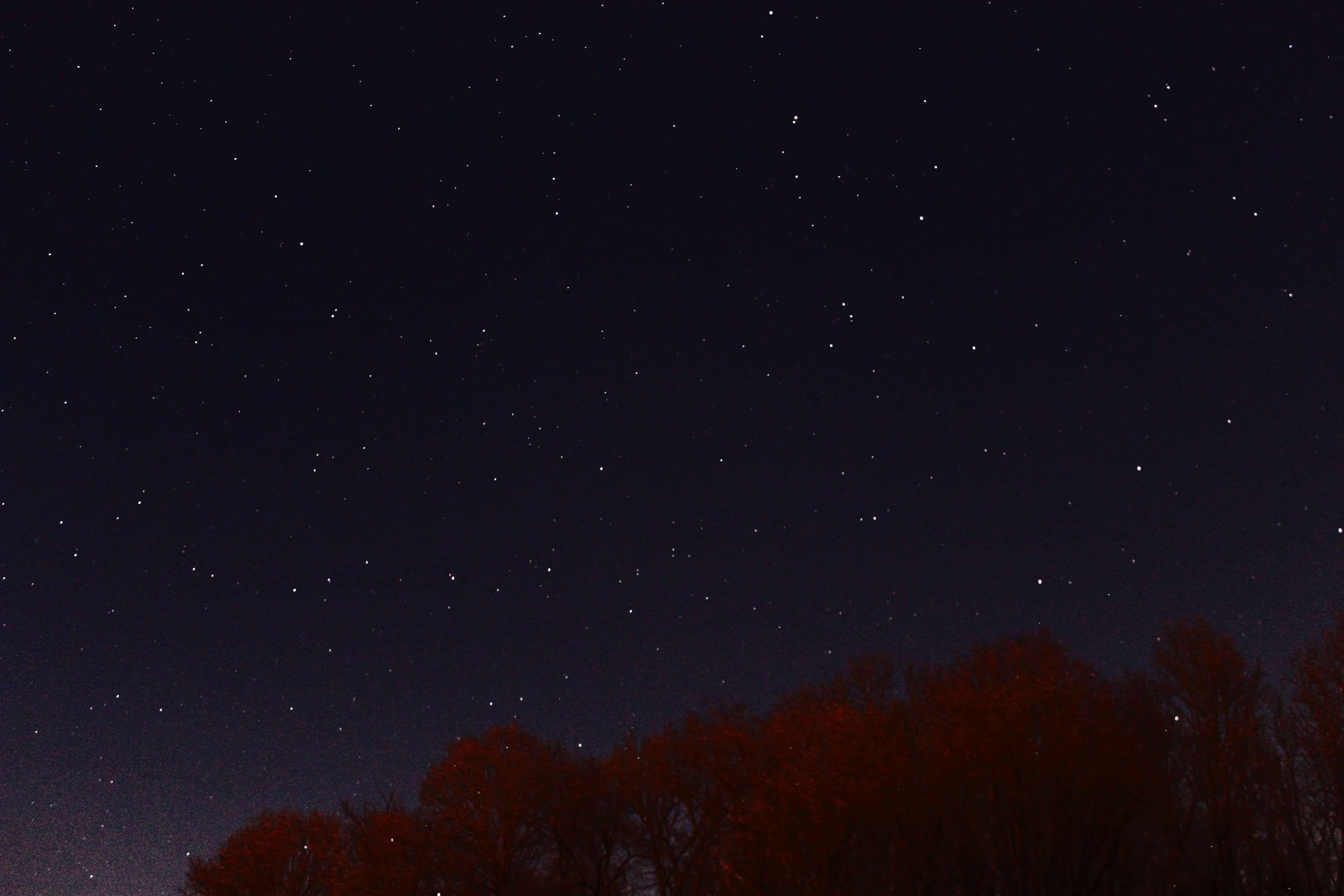 dark, night, sky, space, stars, trees 4k wallpaper and background