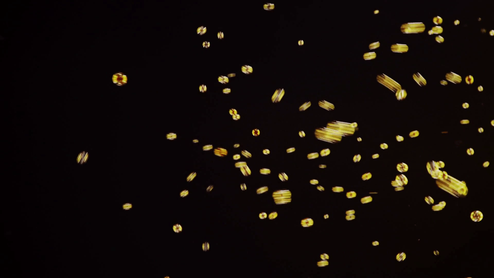 colorful soap bubble art flying in black background, rainbow color