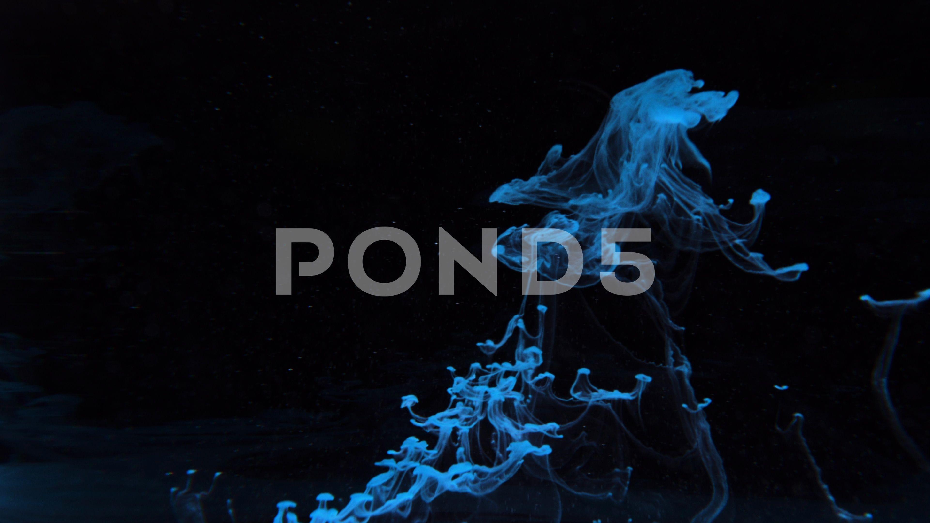 Video: Blue color bubble on black background