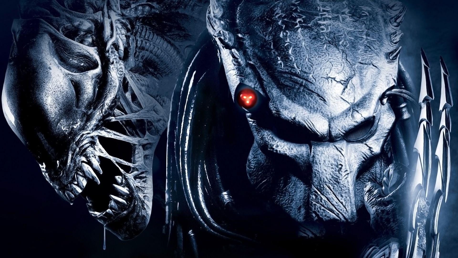 Alien Vs Predato HD Wallpaper, Background Image