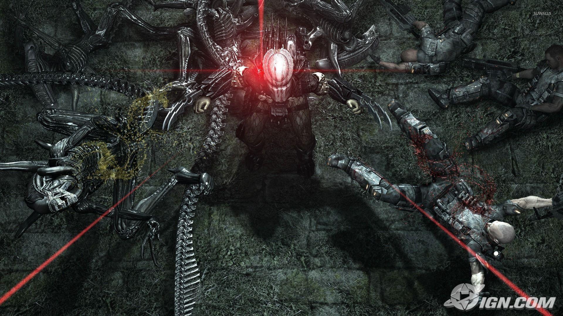 Aliens vs Predator [2] wallpaper wallpaper