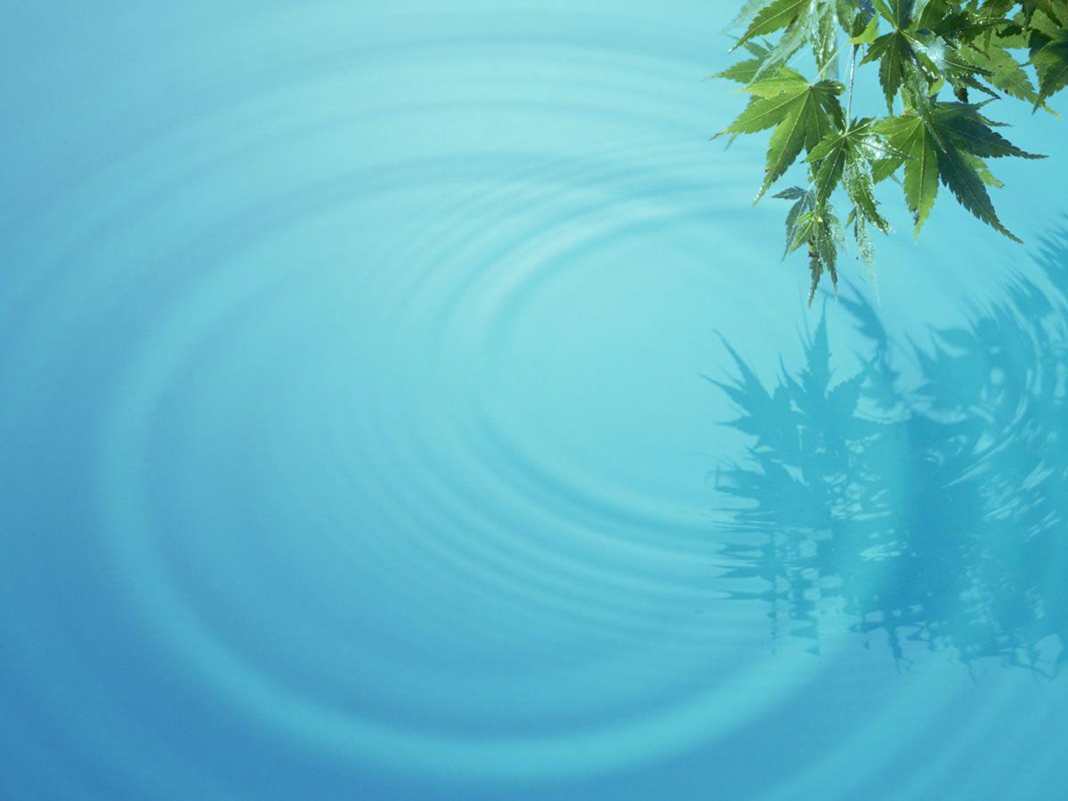 Free Lake Water Background For PowerPoint PPT
