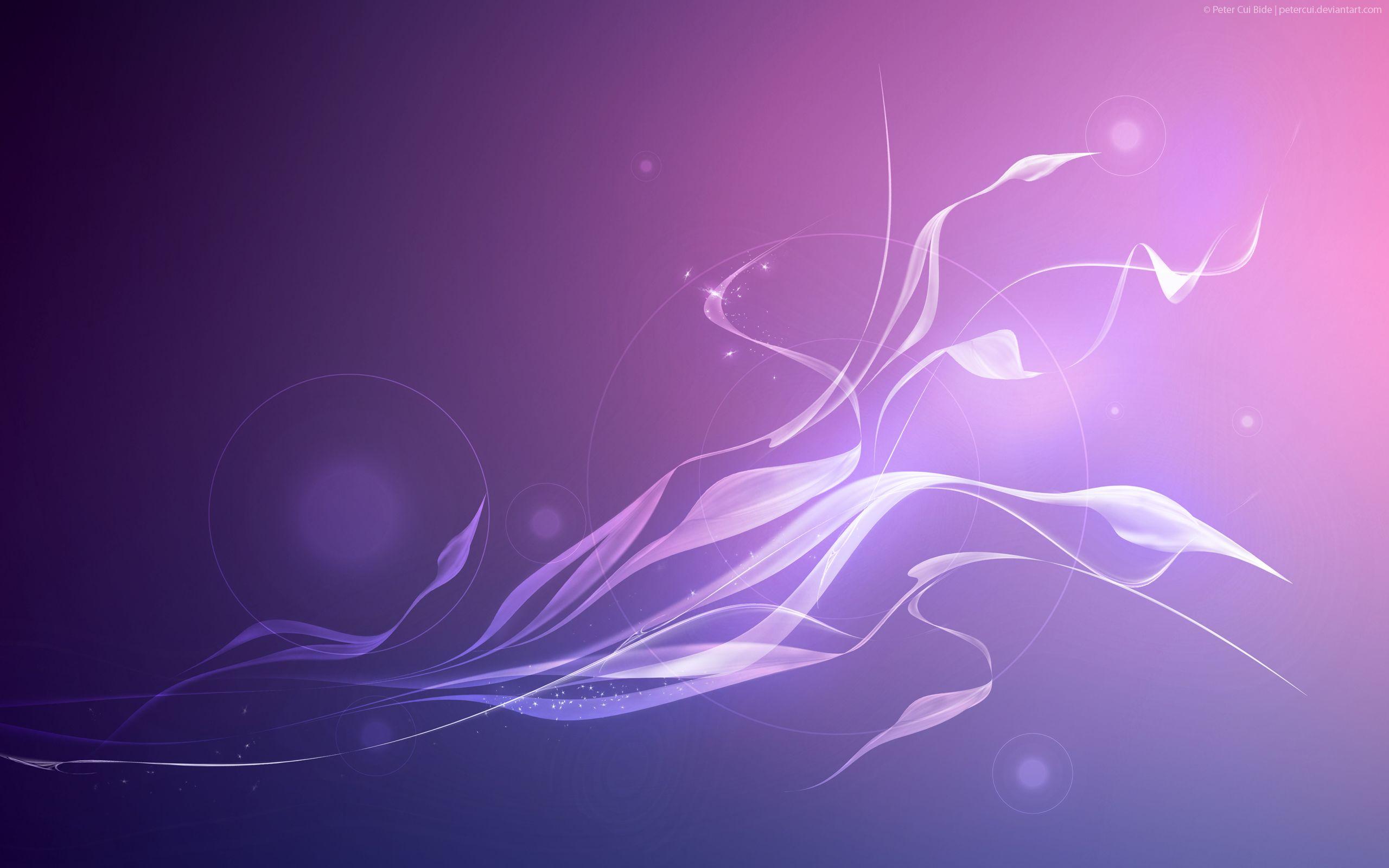 Purple Full HD Wallpaper and Background Imagex1600