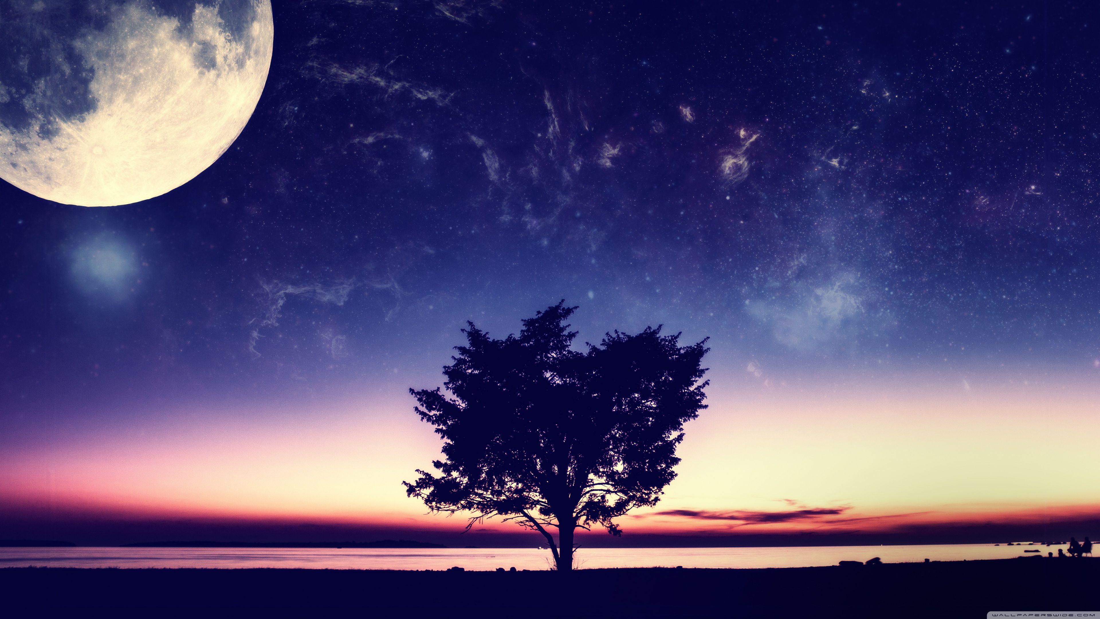Fantasy Night Moon 4K Full HD Wallpaper Photo Pics Image