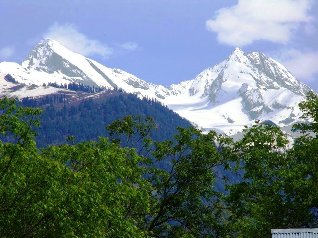 Best Of Pahalgam River, Snow Peaks, Pinewoods