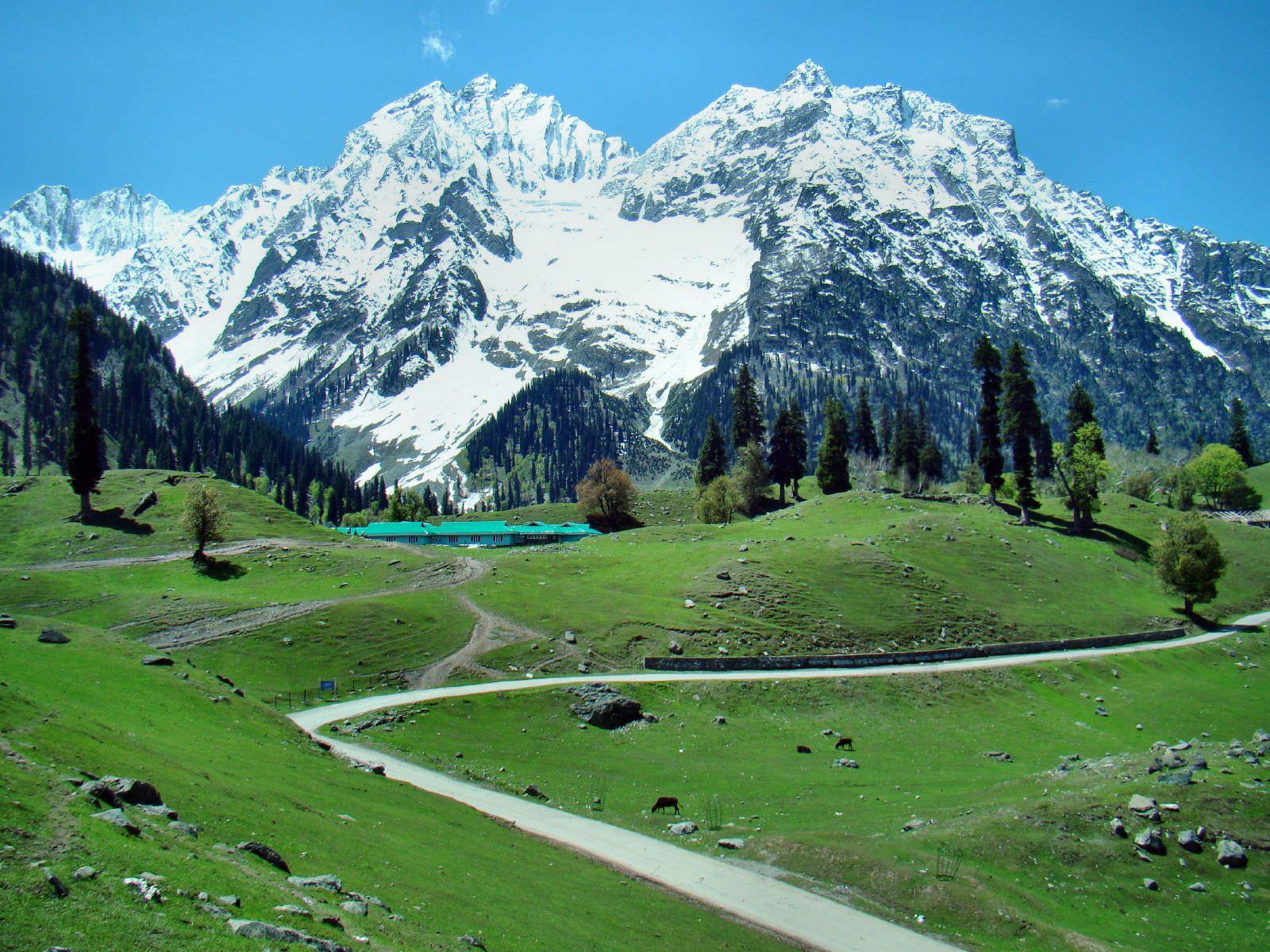 Leisure Trip to Kashmir