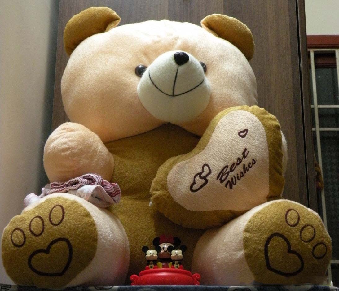 big teddy hd images