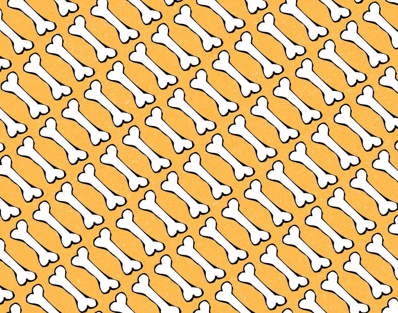 Dog Bone Wallpaper Free Download Clip Art Free Clip Art on 1280×1007