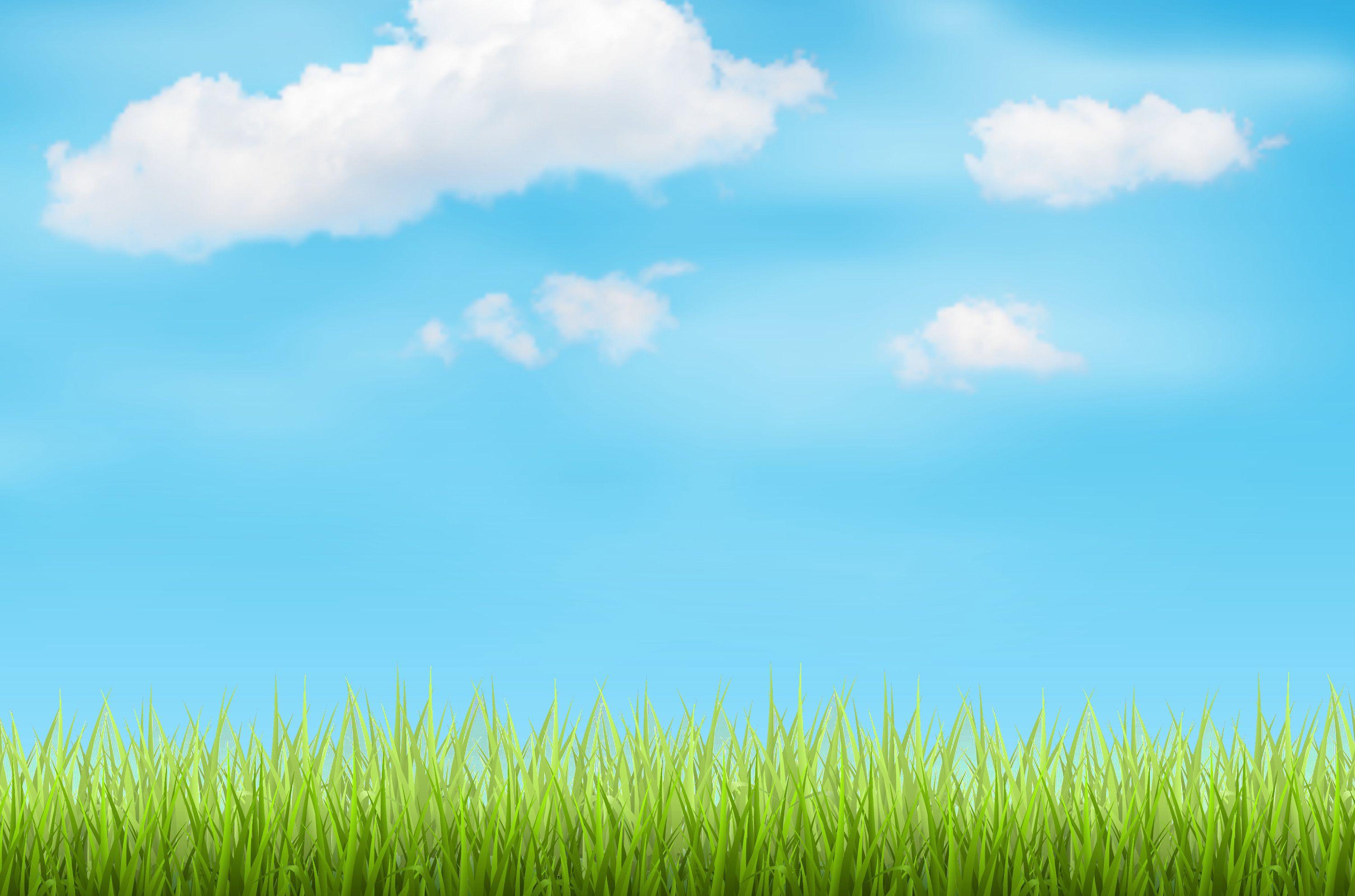 Top Header Grass & Sky Background JPG's Lawn Care