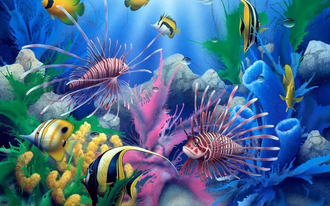 aquarium HD wallpaper