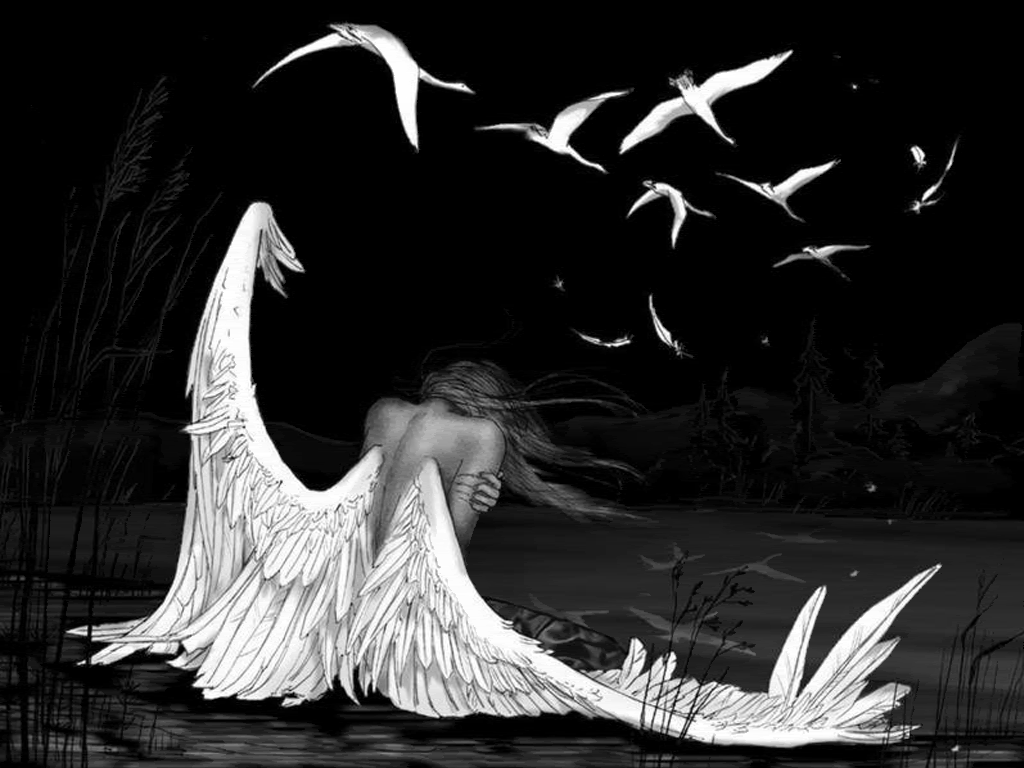 Angels image Fallen Angel HD wallpaper and background photo