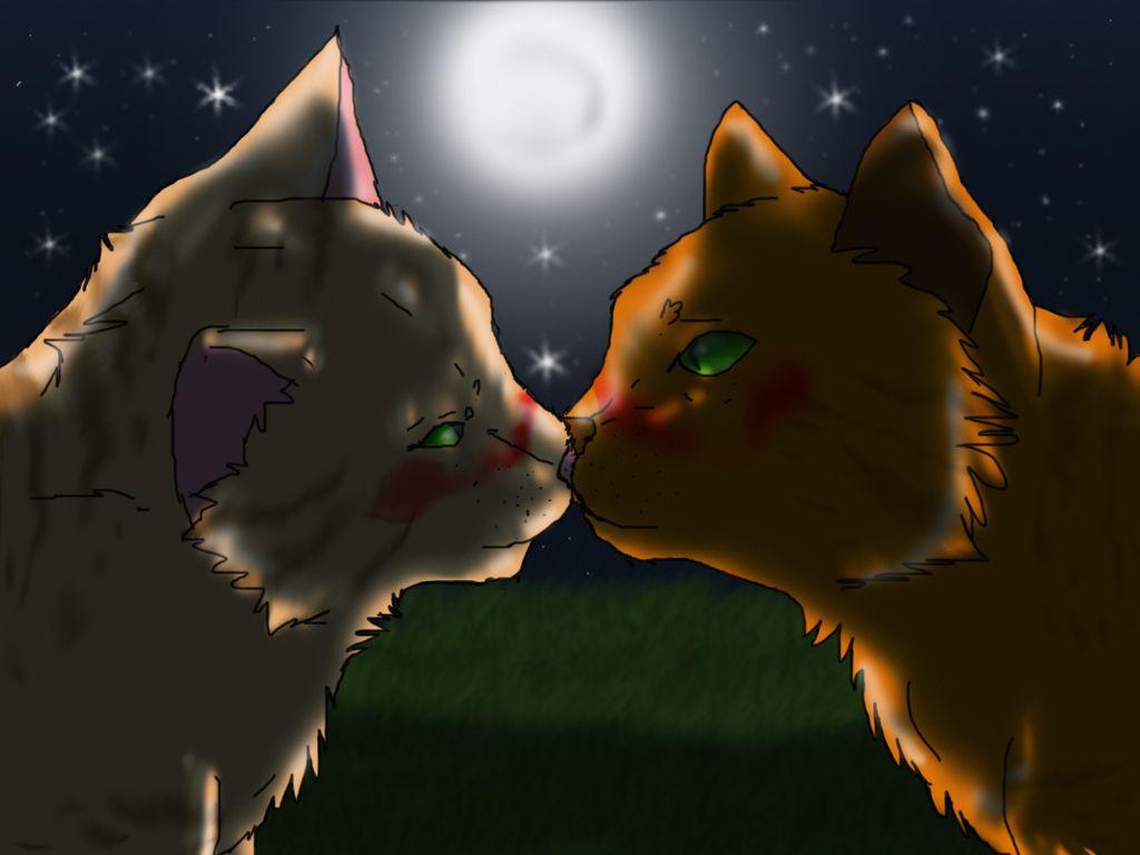 Sandstorm And Firestar Kiss On The Starry Night