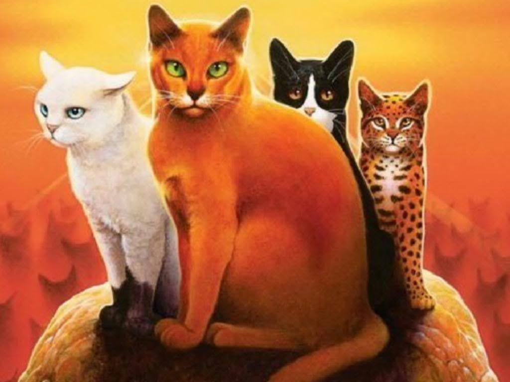 warriors cats wallpaper firestar and sandstorm