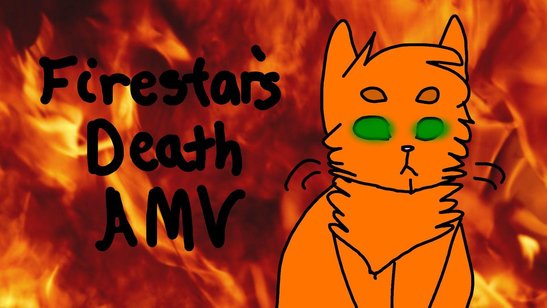 warrior cats wallpaper firestar