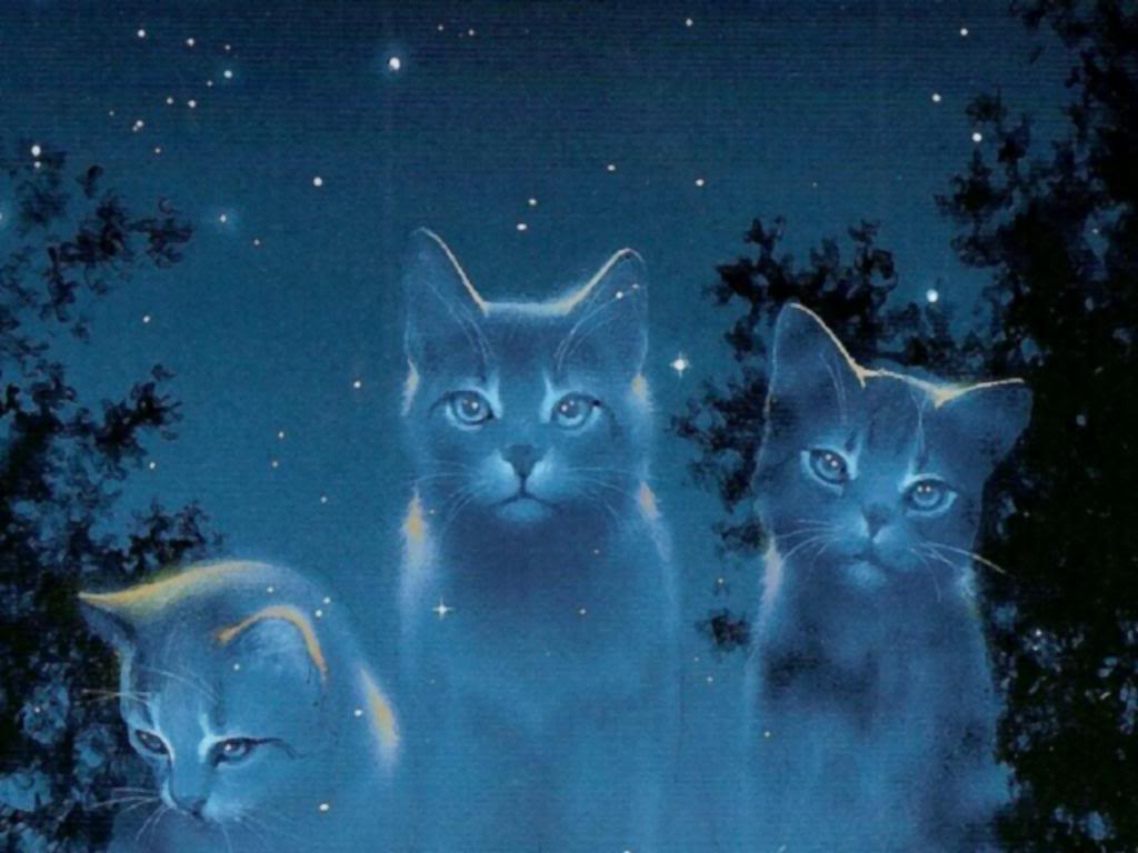 Warrior Cats Book Series image Skyclan Cats HD wallpaper