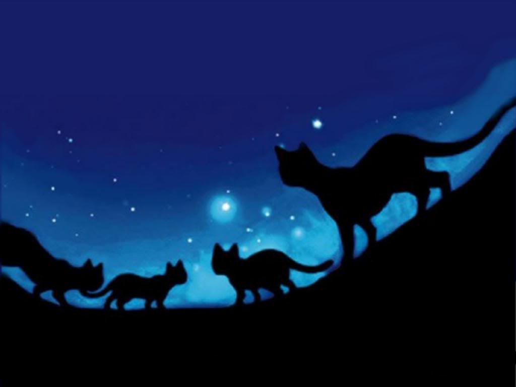 Warrior Cats Book Series image Walking Cats by the Moon HD