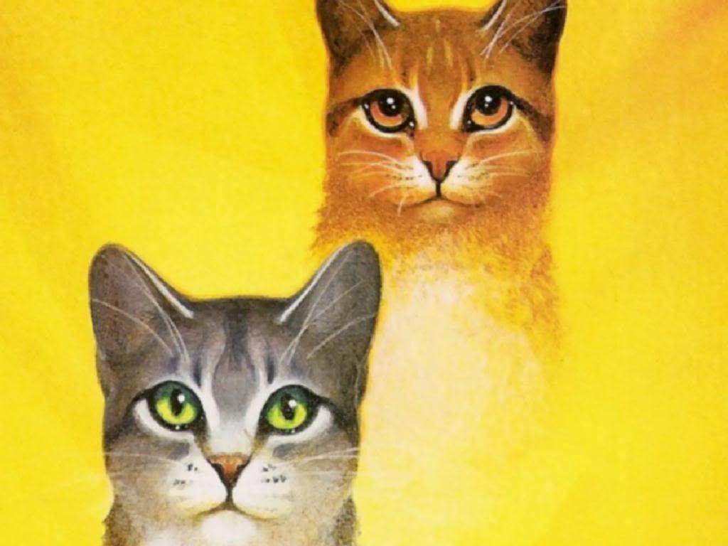 Wallpaper Tagged With Sandstorm: Squirrel Leafpool Thunderclan