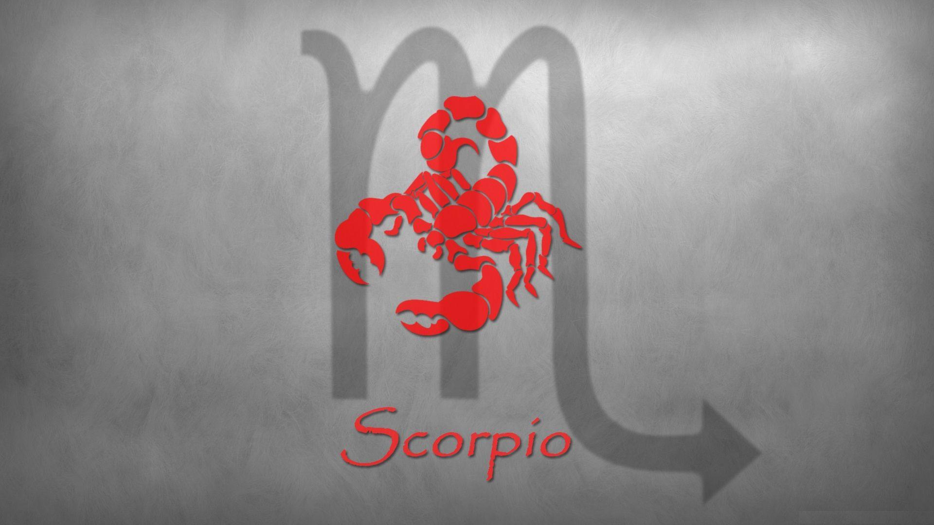 Scorpio HD Wallpaper