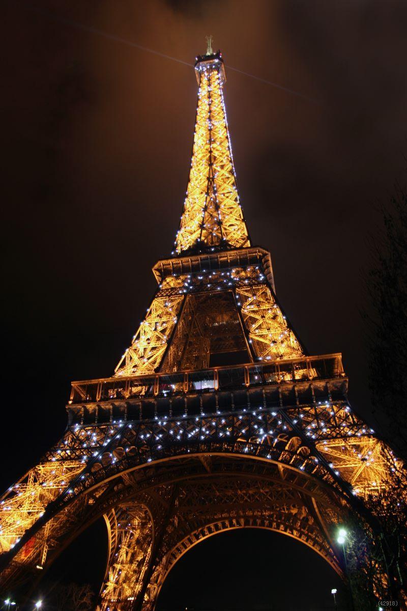Attractive Vinyl Backdrops Eiffel Tower Lights Photography Fashion