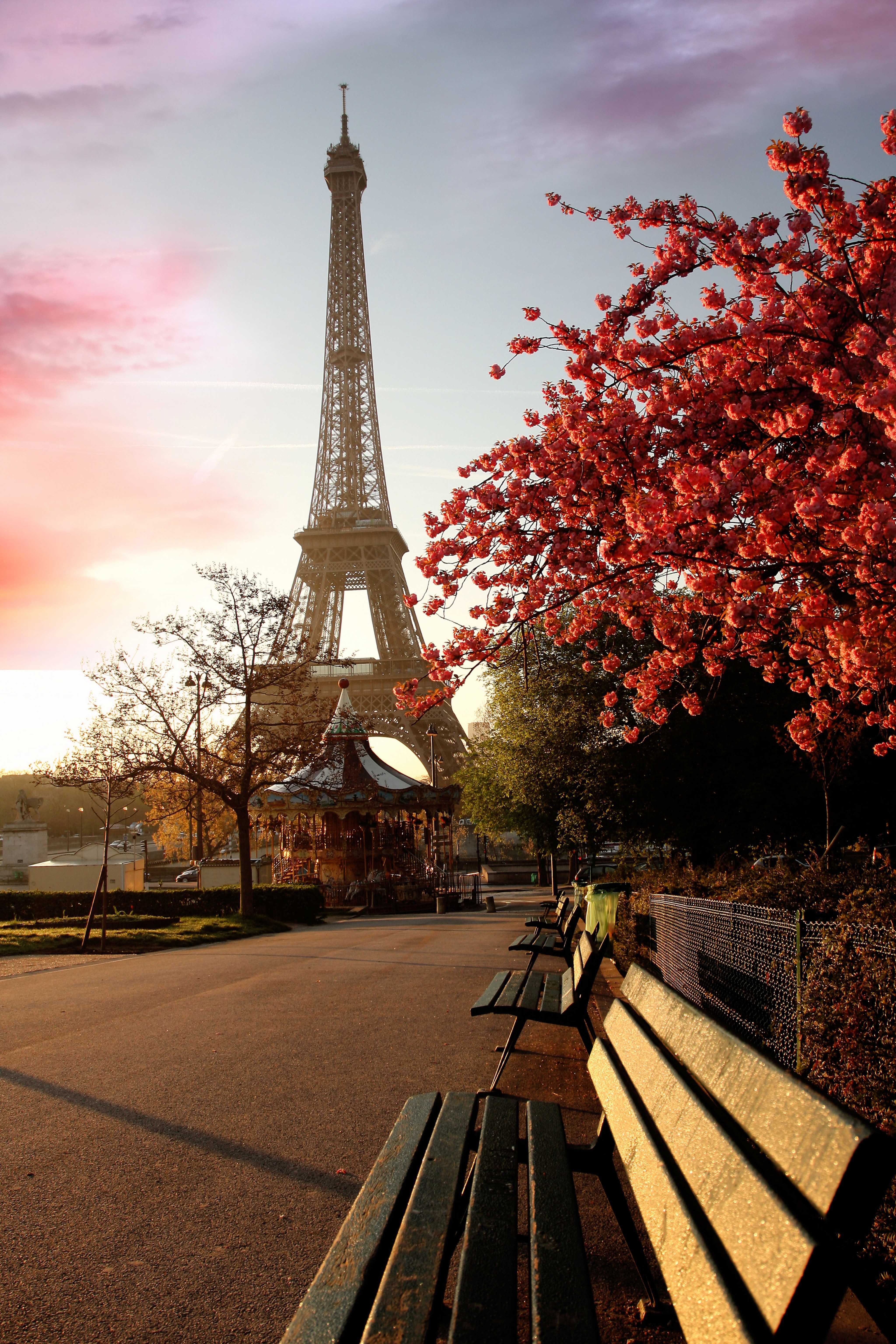 Eiffel Tower Background High Quality Full HD Park On Of