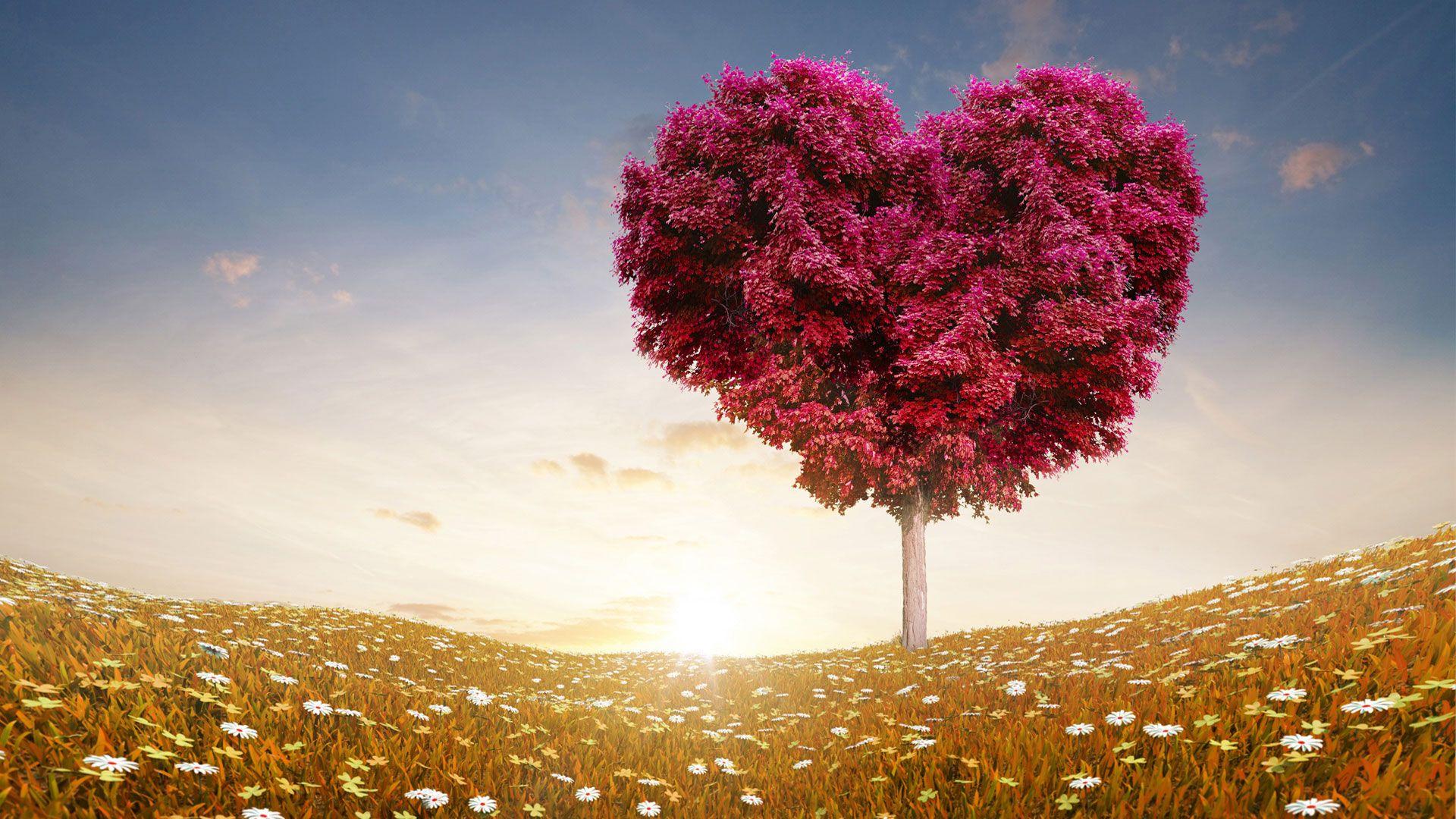 Wallpaper For Widescreen Love Heart Nature Tree Leaves Desktop